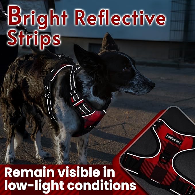 rabbitgoo Dog Harness Small Sized Dog No Pull, Comfortable Padded Plaid Dog Harness with Handle Easy Control, Adjustable Reflective Puppy Pet Harness Vest with 2 Leash Clips, Red Plaid, S
