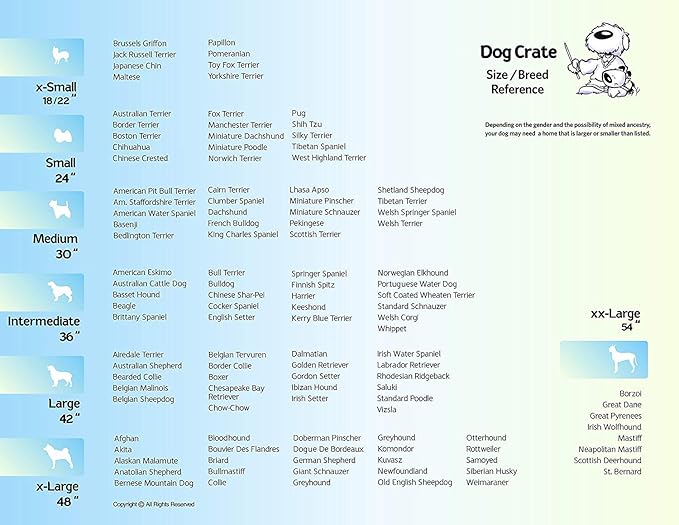 MidWest Homes for Pets Medium Dog Crate | Midwest Life Stages 30' Folding Metal Divider Panel,Floor Protecting Feet,Plastic Tray 30L x 19W 21H Inches,Breed