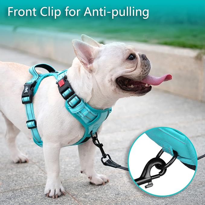 PoyPet No Pull Dog Harness, No Choke Reflective Dog Vest, Adjustable Pet Harnesses with Easy Control Padded Handle for Small Medium Large Dogs(Mint Blue Matching Trim,M)