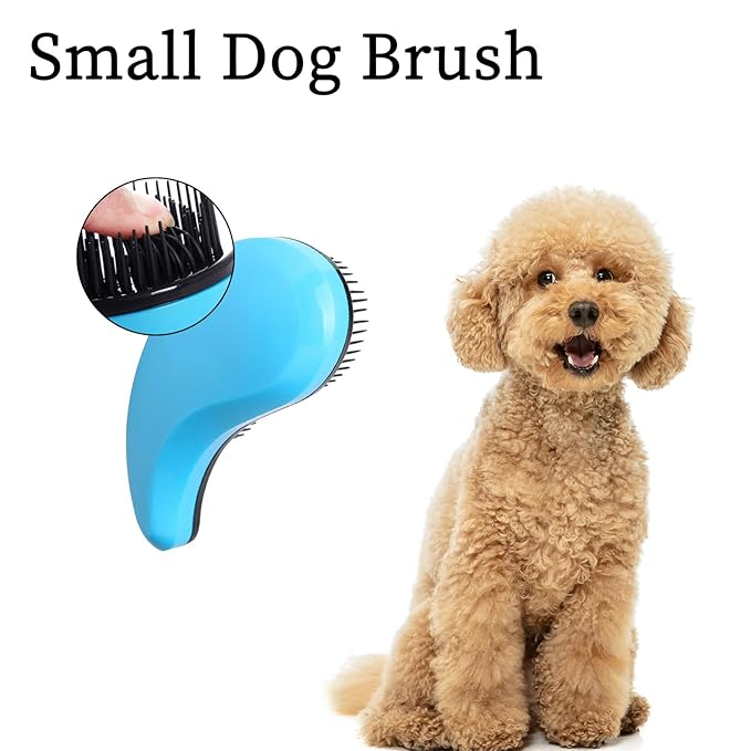 Small Dog Brush- Grooming Tool for Teddy, Yorkies, Maltese, Shih Tzu, Chihuahua - Puppy Hair Brush (Blue)