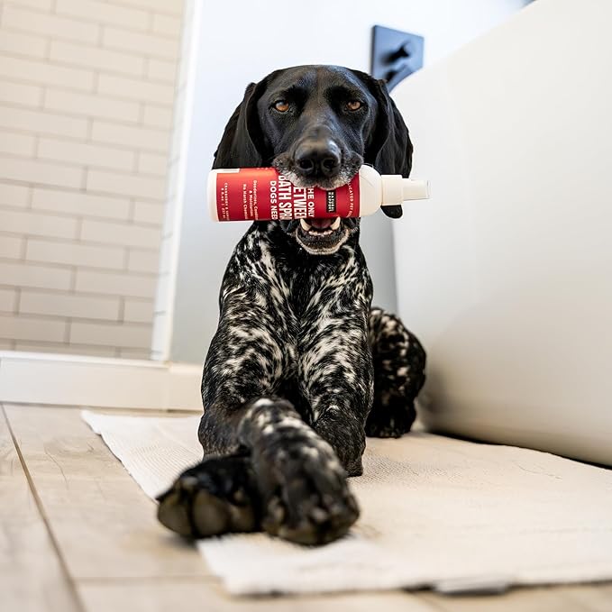 Natural Rapport Dog Cologne Spray Cranberry & Vanilla Scent - The Only Between Bath Spray Dogs Need - Convenient, Dog Deodorant Spray and Pet Urine Odor Eliminator Perfume (8 fl oz.)