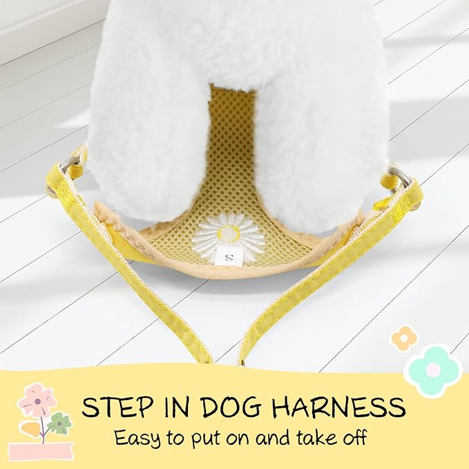 Puppy,XS/XXS Dog Harness Yellow Daisy Dog Harness for Extra Small Dogs Step in Dog Lessh and Harness Set Soft Padded Vest Harness Recommend for Chihuahua,Yorkie,Shih Tzu,Toy Poodle...
