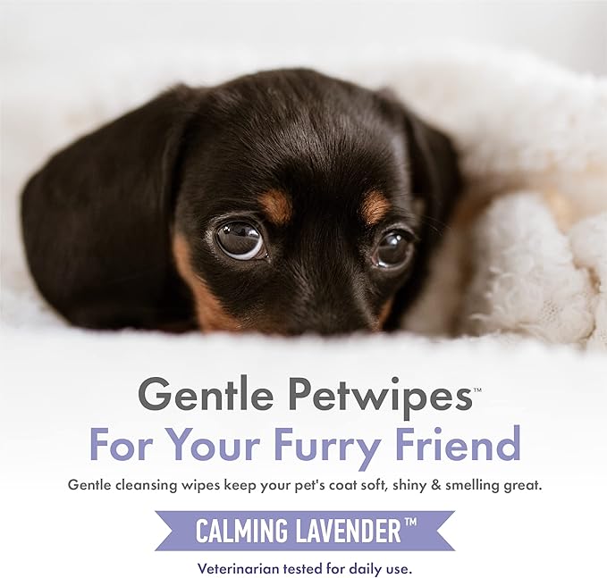 Petkin Hemp Pet Wipes for Dogs and Cats - with Hemp Oil & Calming Lavender Scent, 200 Count - Soothes, Calms & Conditions - Wipes for Pet's Face, Eyes and Body - for Home or Travel
