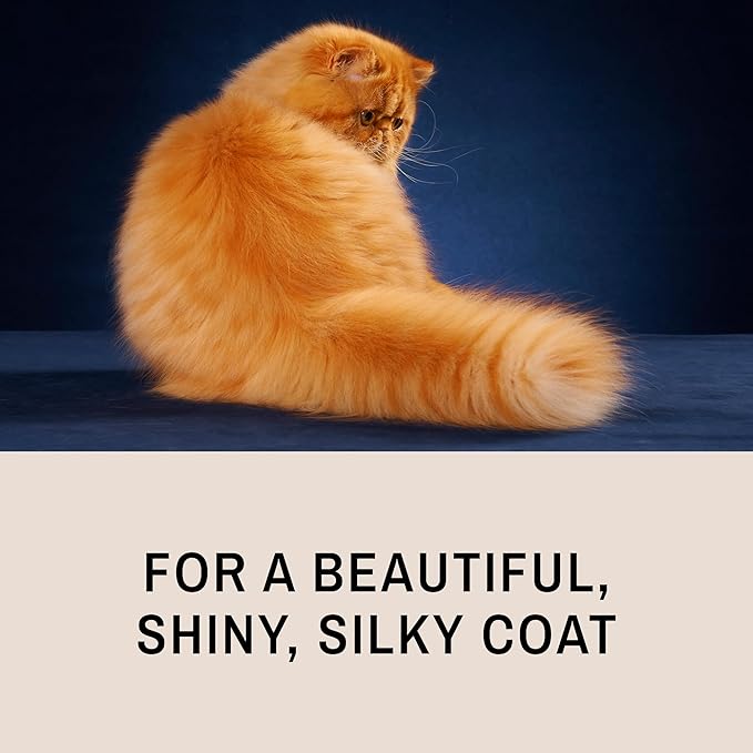 Eye Envy ProGlide Deshedding and Detangling Comb for Long-Haired Cats | Remove Undercoat, Excess Hair, Tangles & Knots | 6" Dual-Tooth Comb with Rounded Pins