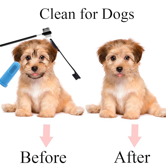 Tear Stain Remover Combs for Pets - Stainless Steel Eye Brush Tools, Durable Flea and Lice Removing Set with Teeth Grooming, 5 Types for Dogs, Cats, Puppies