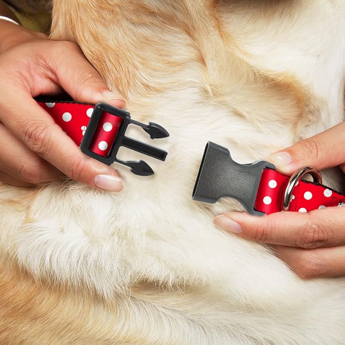 Buckle-Down Minnie Mouse Polka Dot/Mini Silhouette Red/White Plastic Clip Collar, Large/15-26"