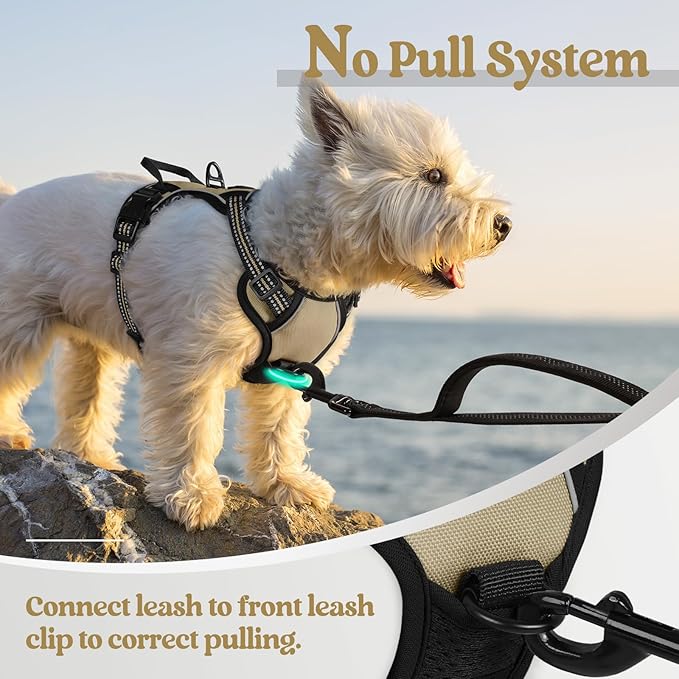 rabbitgoo Dog Harness, No-Pull Pet Harness with 2 Leash Clips, Adjustable Soft Padded Dog Vest, Reflective No-Choke Pet Oxford Vest with Easy Control Handle for Small Dogs, Beige, XS