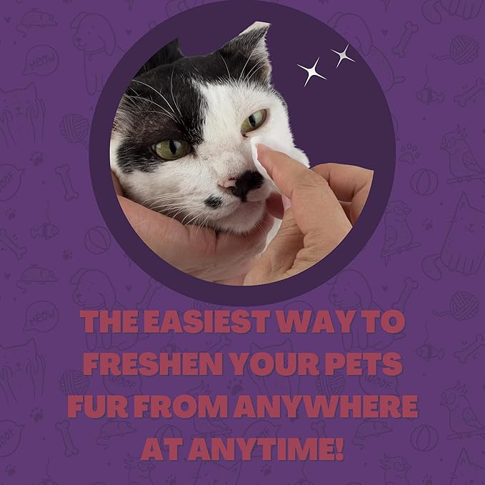 FurryFriends Pet Wipes | BlackBerry | Hypo-allergenic | Alcohol Free| Deodorizing | Removes Loose Hair & Dirt | Incredibly Clean | 200 ct. 1 Pack