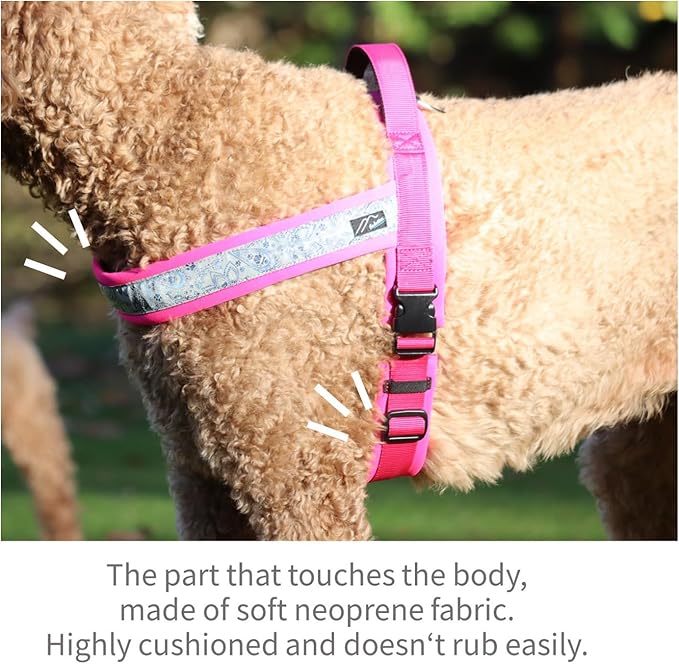 【Hakusan】 New Just Fit Dog Harness Dragon - Reflective, Paisley, Stress-Free, Japanese Made,one-Touch Buckles,Easily Put on,(Red×Black, 2)