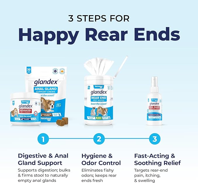 Glandex Anal Gland Soft Chew Treats with Pumpkin for Dogs Digestive Enzymes, Probiotics Fiber Supplement for Dogs Boot The Scoot (Advanced Strength Duck/Bacon Chews (Vegetarian), 30ct)