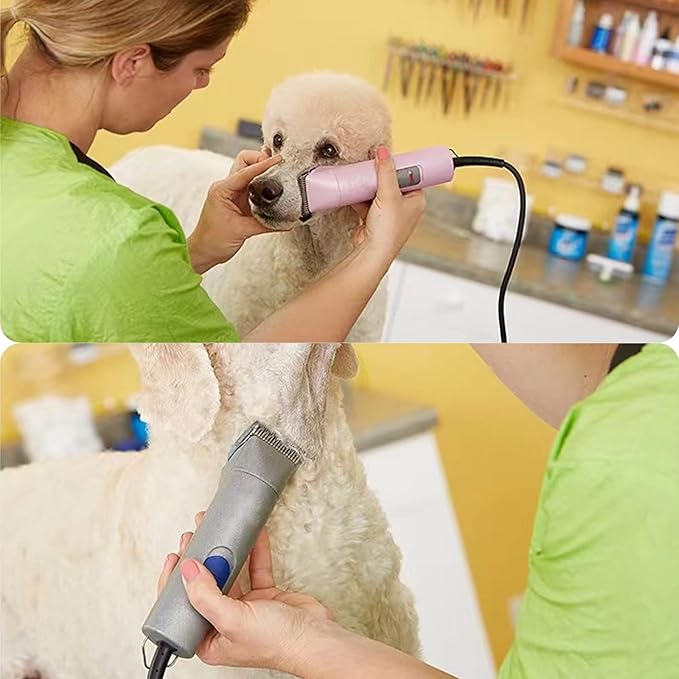 Blade Dog Grooming Detachable Ceramic Blade Compatible with Andis,Oster A5,Wahl KM Series Clippers(Gold) (10+15+30+40+4F+5F+7F)