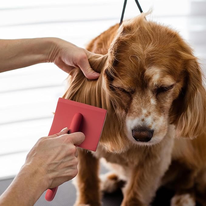 Long Pin Slicker Brush for Dogs (Goldendoodles, Labradoodles, Poodles) and Long Hair cat, Best Grooming Brush for Small Animals ,for Grooming Pet Hair, Beech Wood
