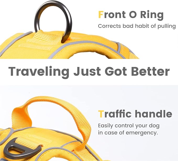 Pawaii Dog Harness for Small Dogs, Dog Harness with Pet ID Tag, No Choke Dog Harness, Adjustable Soft Padded Pet Vest with Easy Control Handle