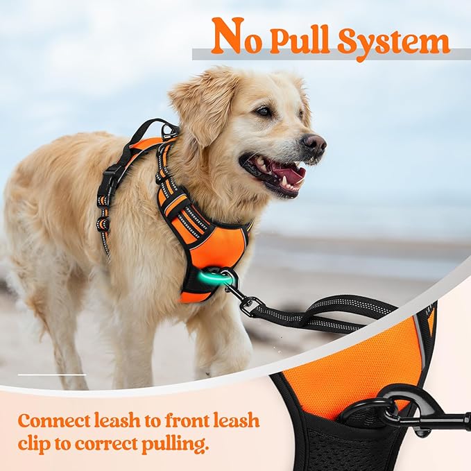 rabbitgoo Dog Harness, No-Pull Pet Harness with 2 Leash Clips, Adjustable Soft Padded Dog Vest, Reflective No-Choke Pet Oxford Vest with Easy Control Handle for Small Dogs,Orange,S