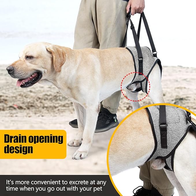 GabeFish Dog Leg Support for Back Legs, Adjustable Lift Harness for Dog, Breathable Dog Sling for Rear Legs Grey Small