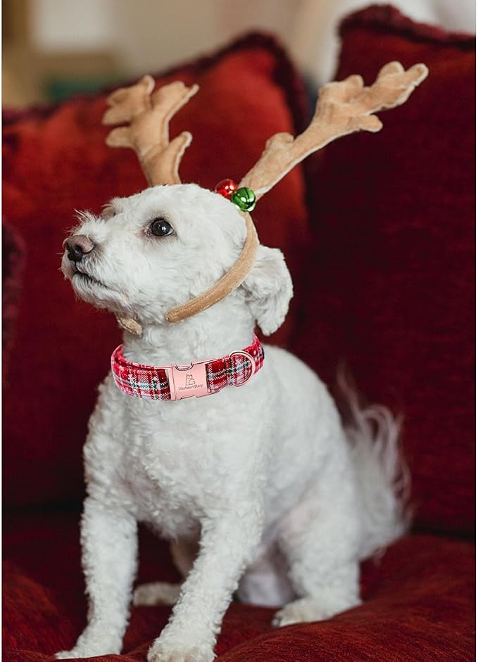 Lionheart glory Christmas Plaid Dog Collar, Dogs Collar Adjustable Soft and Comfortable Dog Collars for Small Dogs Girl or Boy Pet Gift Fall Collar Dog Collar