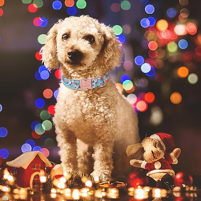Christmas Dog Collars for Medium Dog,Blue Santa Claus Dog Collar with Safety Metal Buckle Adjustable Puppy Collars for Small Large Dog,Boy&Girl&Male&Female Dog Gift,M-13.5"-22"