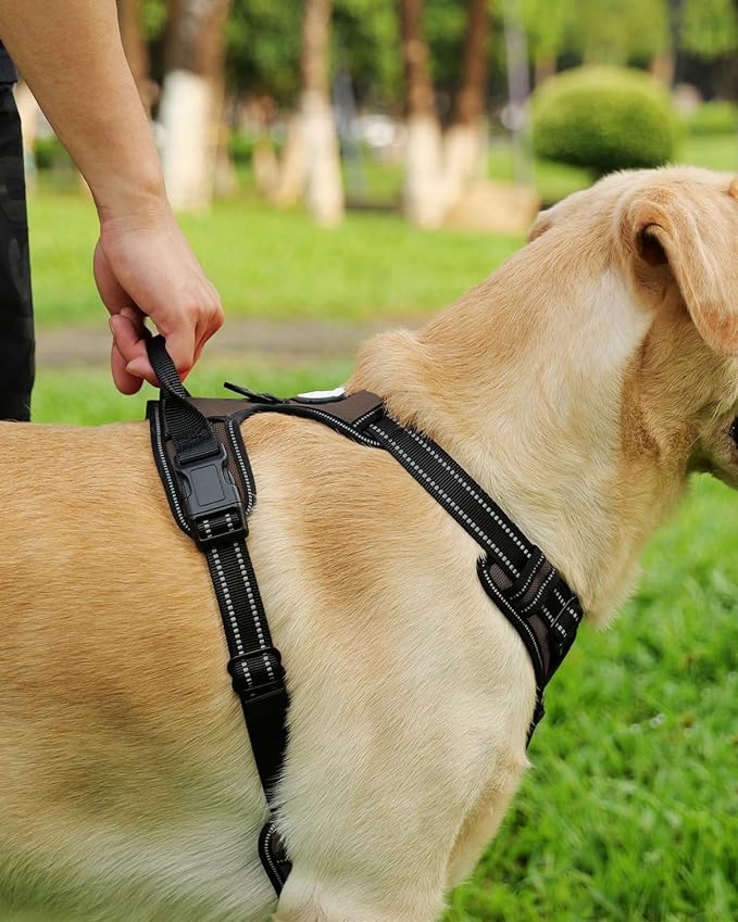 Joytale No Pull Dog Harness Medium Sized Dog, Reflective Pet Vest with Front Clip, Adjustable Soft Padded Harnesses with Easy Control Handle for Training and Walking, Brown, M