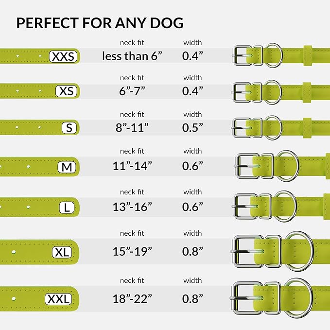 CollarDirect Rolled Leather Dog Collar, Soft Padded Round Puppy Collar, Handmade Genuine Leather Collar Dog Small Large Cat Collars 13 Colors (18-22 Inch, Lime Green Smooth)