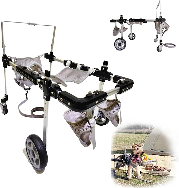 Dog Wheelchair,Lightweight Aluminum Frame with Handle,Extended Leg Straps,Includes Leash,Fits Pugs,French Bulldogs,and Schnauzers(Middle Size)/Beagle,Corgi,and Cocker Spaniel(Large Size)