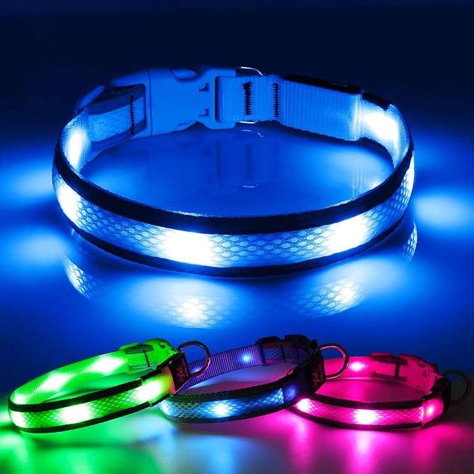 BSEEN Light Up Dog Collar - LED Dog Collar Rechargeable, Adjustable Reflective Dog Collar, Glow in The Dark Dog Camping Gear Dog Lights for Night Walking (Large Collar, Royal Blue)