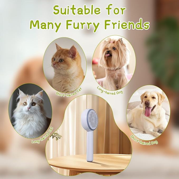 Pet Steamy Brush, White
