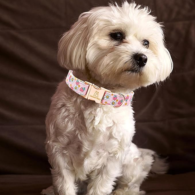 Lionheart glory Dog Collar Pink Dogs Collar Spring Summer Cute Collars Dog Female Soft Durable Adjustable Dog Collars for Medium Dogs Pet Gift