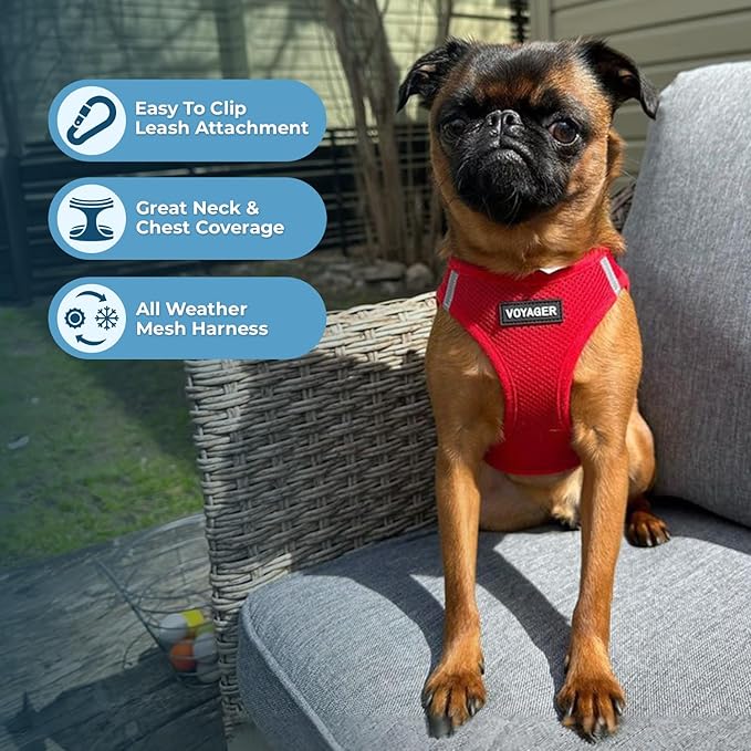 Voyager Step-in Air Dog Harness - All Weather Mesh, Reflective, No Pull Harness for Small, Medium Dogs, Cats - Secure with Hook & Loop Fastener, Buckle, Double D-Rings - Red, S
