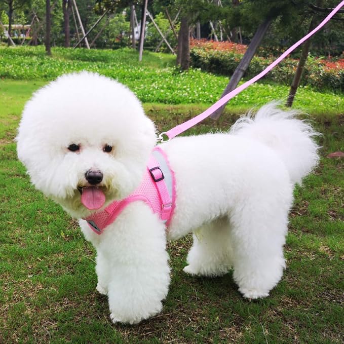 FEimaX Dog Harness and Leash Set for Walking, Soft Mesh Adjustable Easy Control Lightweight Cat Vest Harnesses with Reflective Strips, Escape Proof Small Dogs Cats Vests (Pink, Medium)