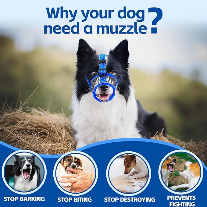 Dog Muzzle,Soft Mesh Breathable Muzzle, Air Mesh Dog Muzzle with Reflective & Adjustable Strap for for Biting Chewing Grooming,Allow Panting Drinking,Dog Muzzle for Medium (Blue, L)