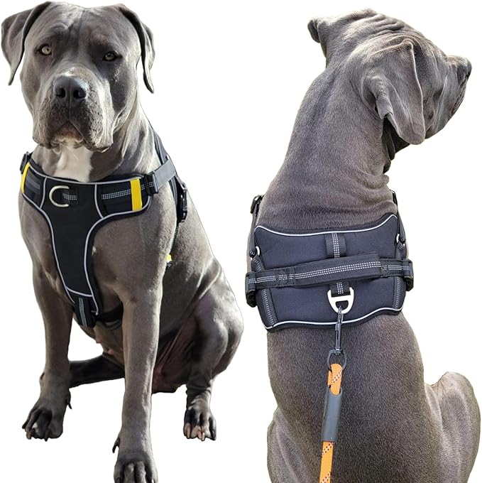 No-Pull Large Dog Harness - Tatical Dog Harness for Large Dog with Handle, Freedom No Pull Escape Proof Dog Vest Harness, Front Clip Reflective Adjustable Service Dog Harness(Black, Large)