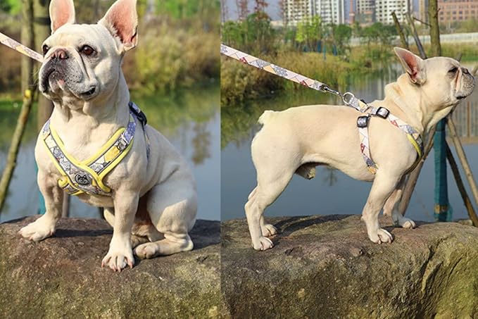PT-010 Pet Dog Puppy No-Pull Harness Walking Training Harness with Leash Reflective Vest (Yellow, Small)