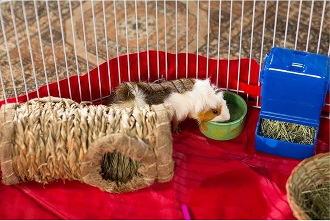 Prevue Pet Products SPV40097 Mat/Cover for 8-Panel Play Pen, Red