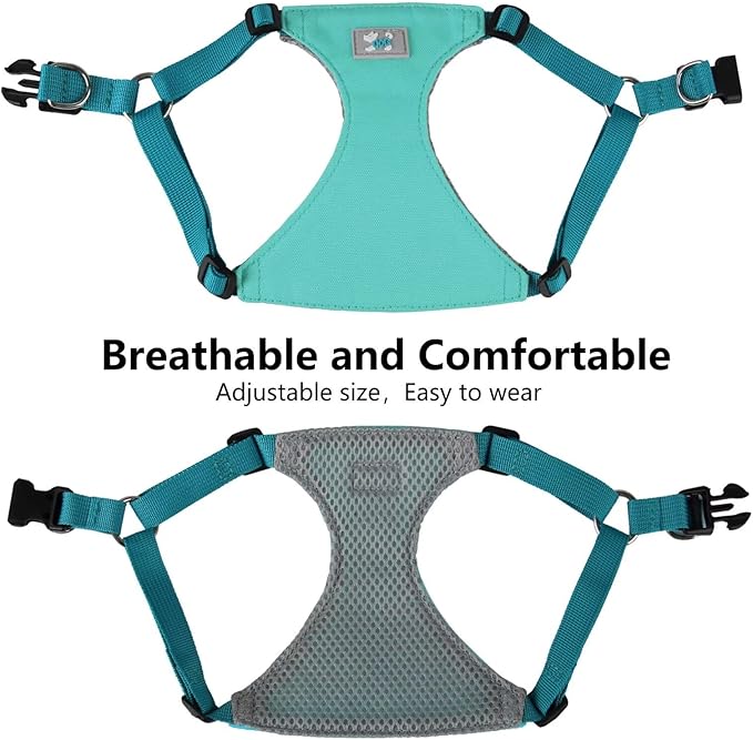 Beirui Small Dog Harness and Leash Set, No Pull Step-in Harness for Puppy, Lightweight Air Mesh Pet Harness for Small Dogs (Blue, XS)