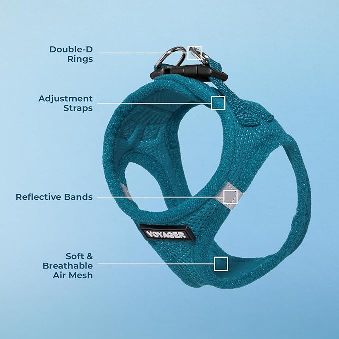Voyager Step-In Air Dog Harness - All Weather Mesh, Reflective, No Pull Harness for Small, Medium Dogs, Cats - Secure with Hook & Loop Fastener, Buckle, Double D-Rings - Turquoise, XXS