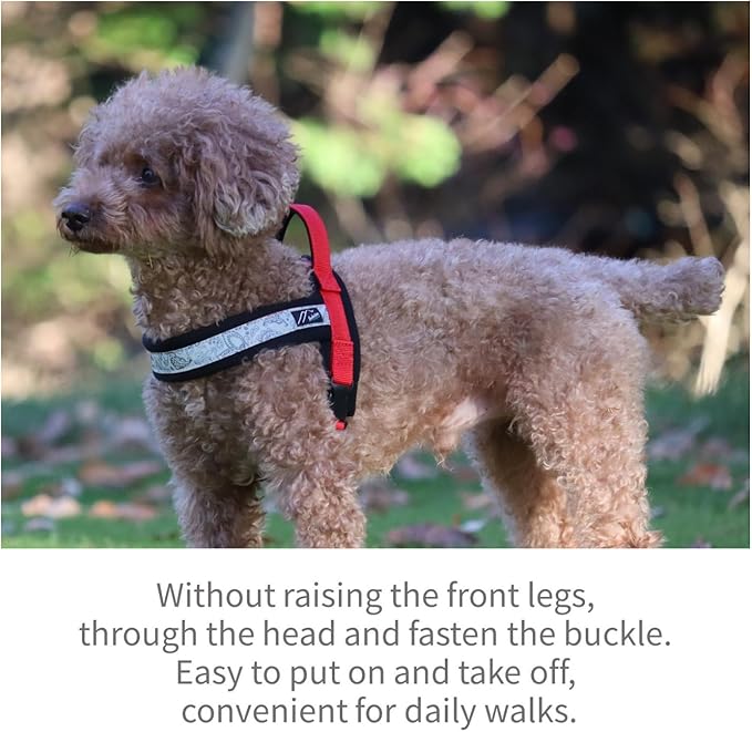 【Hakusan】 New Just Fit Dog Harness Dragon - Reflective, Paisley, Stress-Free, Japanese Made,one-Touch Buckles,Easily Put on,(Red×Black, 2)