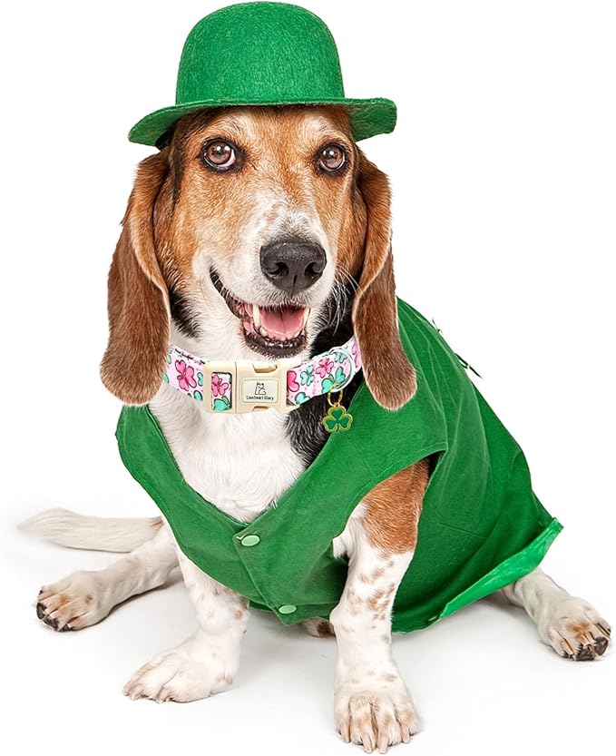 Lionheart glory St. Patrick's Day Dog Collar, Clover Collars Pink Dog Collar for Small Dogs Spring Female Dog Collar Adjustable Heavy-Duty Puppy Collar Pet Gift Plastic Buckle