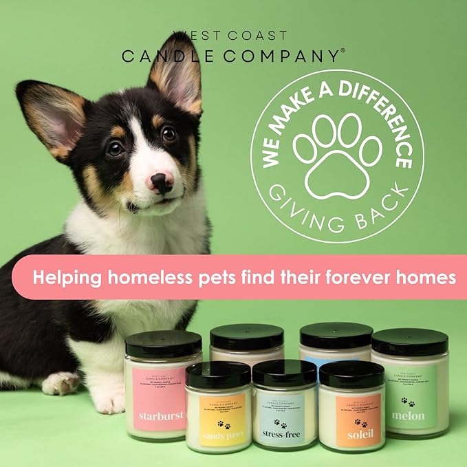Pet Friendly Wax Melts | Pet Safe Wax Melts | All Natural Dog Safe Wax Melts | Non-Toxic Wax Melts | Pet Odor Eliminator | Pure Soy Wax Melts | Veterinarian Approved (Walk in The Woods)
