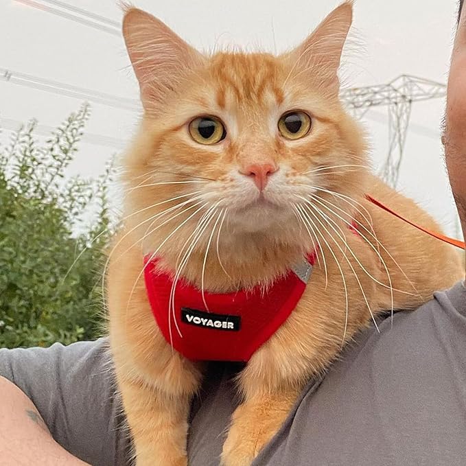 Voyager Step-in Air Dog Harness - All Weather Mesh, Reflective, No Pull Harness for Small, Medium Dogs, Cats - Secure with Hook & Loop Fastener, Buckle, Double D-Rings - Red, XL