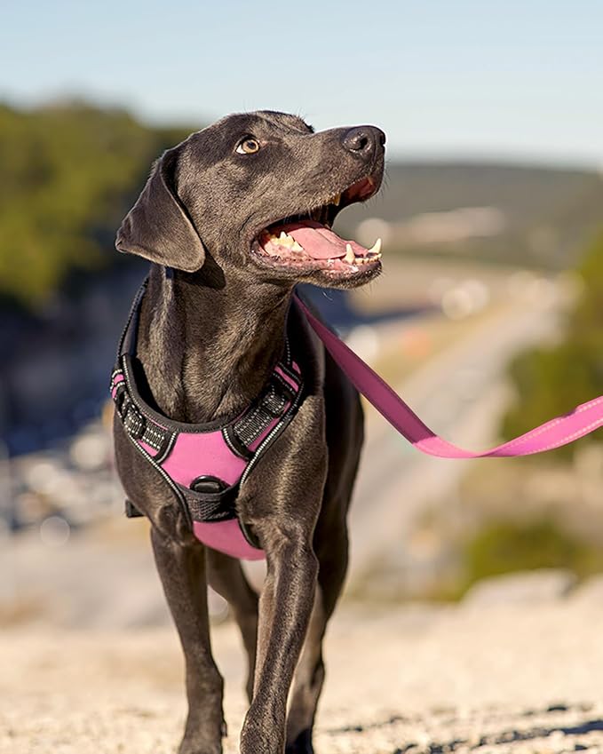 Joytale No Pull Dog Harness for Small Dogs, Reflective Pet Vest with Front Clip, Adjustable Soft Padded Harnesses with Easy Control Handle for Training and Walking, Pink, S