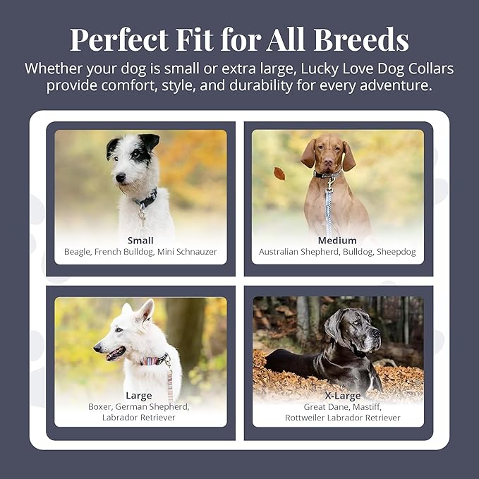 Lucky Love Dog Martingale Dog Collar - Adjustable, No-Slip, Durable, & Soft Webbing Dog Collar for Male and Female Dogs Ideal for Training & Walking - Stylish Blackbird Pattern, Medium Size