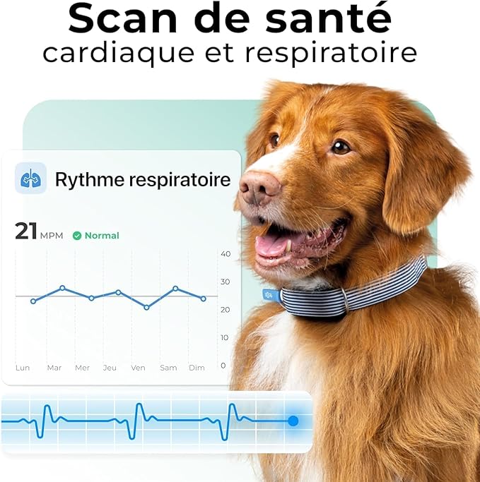 Minitailz - Health & GPS Tracker for Dogs #1 - Cardiac and Respiratory Scan - Real-time Location - Activity and Well-Being Analysis - Compact, Lightweight, and Easy to Install