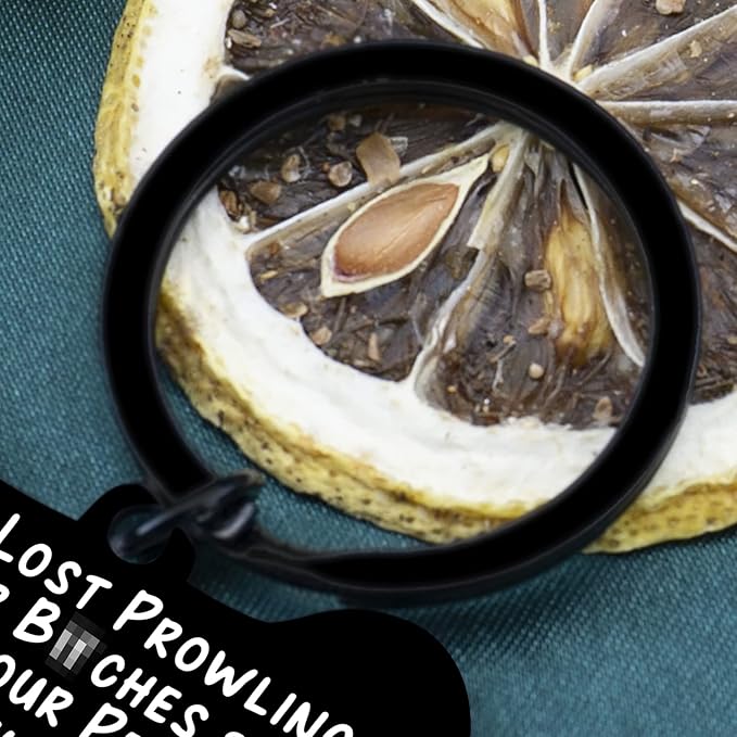 Funny Dog Tag Collar Cat Pet Id Tags for Dogs Engraved Stainless Steel I Got Lost Prowling Have Your People Call My Puppy Lover, Black