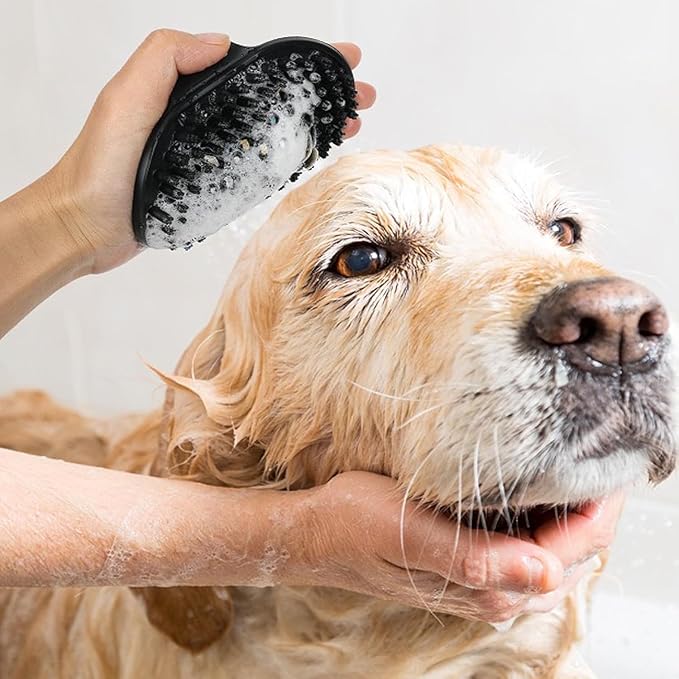 Dog Brush Kit for Grooming Short & Long Haired Dogs & Cats, 4-in-1 Pet Grooming Set with Self-Cleaning Slicker Brush, Deshedding Tool, Shampoo Bath Comb, Massge Comb (White Black)