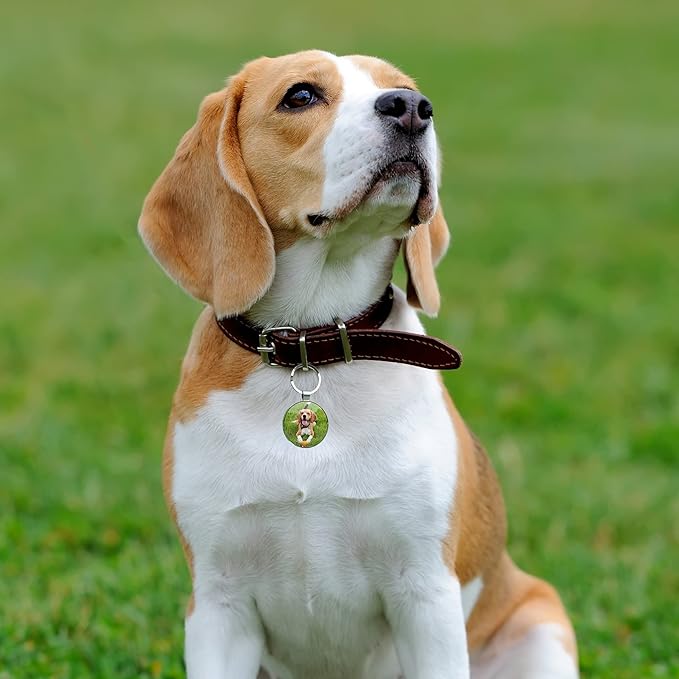 QR Code Dog Tag,Dog Tags Personalized for Pets, Custom Dog Name ID Tags Personalized Dog and Cat Tags -Free Online&Scan QR Receive Instant Location Alert Email