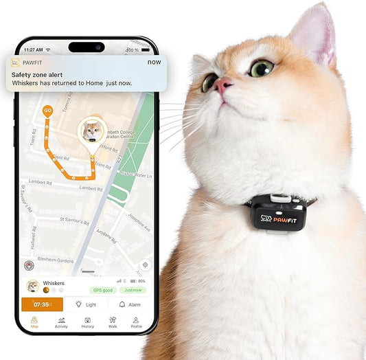 Lite for Cats 4g GPS Tracker | Real Time Tracking | Activity Monitoring |Location History | Unlimited Range | Safety Collar Included | Onyx Black