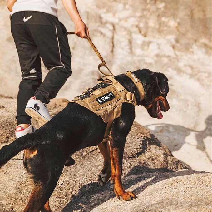 EXCELLENT ELITE SPANKER Dog Harness Tactical Military Dog Harness Adjustable No-Pull Dog Harness Training Hunting Dog Tactical Vest with Handle(RGN-M)