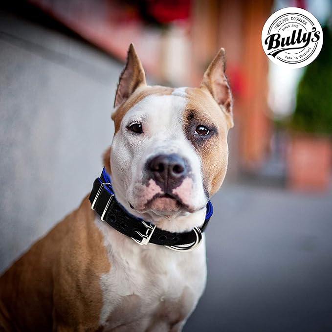 Pit Bull Collar, Dog Collar for Large Dogs, Heavy Duty Nylon, Stainless Steel Hardware (Large, Black with Red Trim)