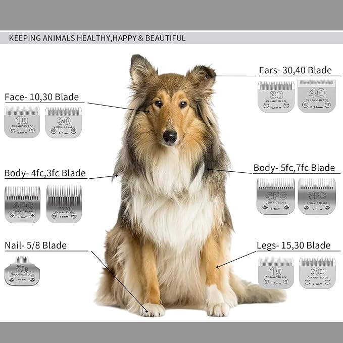 3 Color 40# Detachable Pet Dog Grooming Ceramic Blades,Compatible with Andis,Oster A5,Wahl KM-10 Series,Size #40 Blade 1/100-Inch 0.25MM Cut Length(Silver+Black+Golden)
