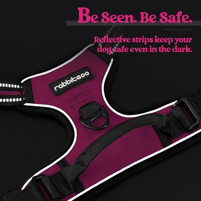 rabbitgoo Dog Harness, No-Pull Pet Harness with 2 Leash Clips, Adjustable Soft Padded Dog Vest, Reflective No-Choke Pet Oxford Vest with Easy Control Handle for Small Dogs, Hot Pink, S